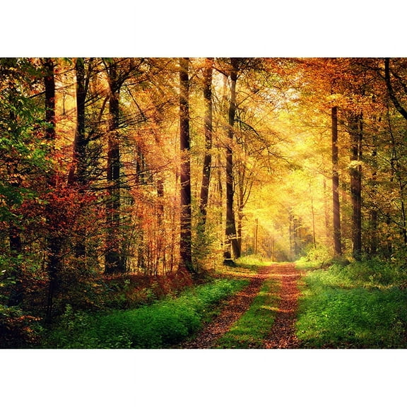 Tropical Forest Green Trees Plants Leaves Vinyl Photography Backdrops Props Natural Scenery Photo Studio Background REL-01