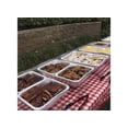 thumbnail image 5 of Set de buffet Sterno 53 cm x 8 cm, plateado, 5 of 5