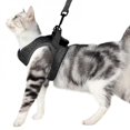 thumbnail image 3 of MesaSe Clearance! Cat Harness Escape Proof Small Cat and Dog Vest Harness with Reflective Strap Soft Mesh Adjustable Cat Walking Jacket for Kitten, 3 of 6