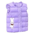 thumbnail image 6 of XXWXYD Child Kids Toddler Baby Boys Girls Sleeveless Reversible Vest Cute Cartoon Winter Solid Outerwear Outfits, Warm Comfortable Casual Daily Wear for Cold Weather, 6 of 6
