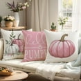 thumbnail image 2 of Blue Pumpkin Pillow Covers 16x16 Inch Set of 4 Hello Pumpkin Indoor Outdoor Decorative Throw Pillow Cover Farmhouse Autumn Pillow Case Thanksgiving Harvest Bedroom Sofa Cushion Couch Decor, 2 of 6