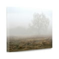 thumbnail image 2 of Tangletown Fine Art 'Oak Tree - 28' Photographic Print on Wrapped Canvas, 2 of 2