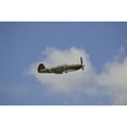 thumbnail image 2 of A vintage warbird in flight near Lakeland  Florida Poster Print, 2 of 2