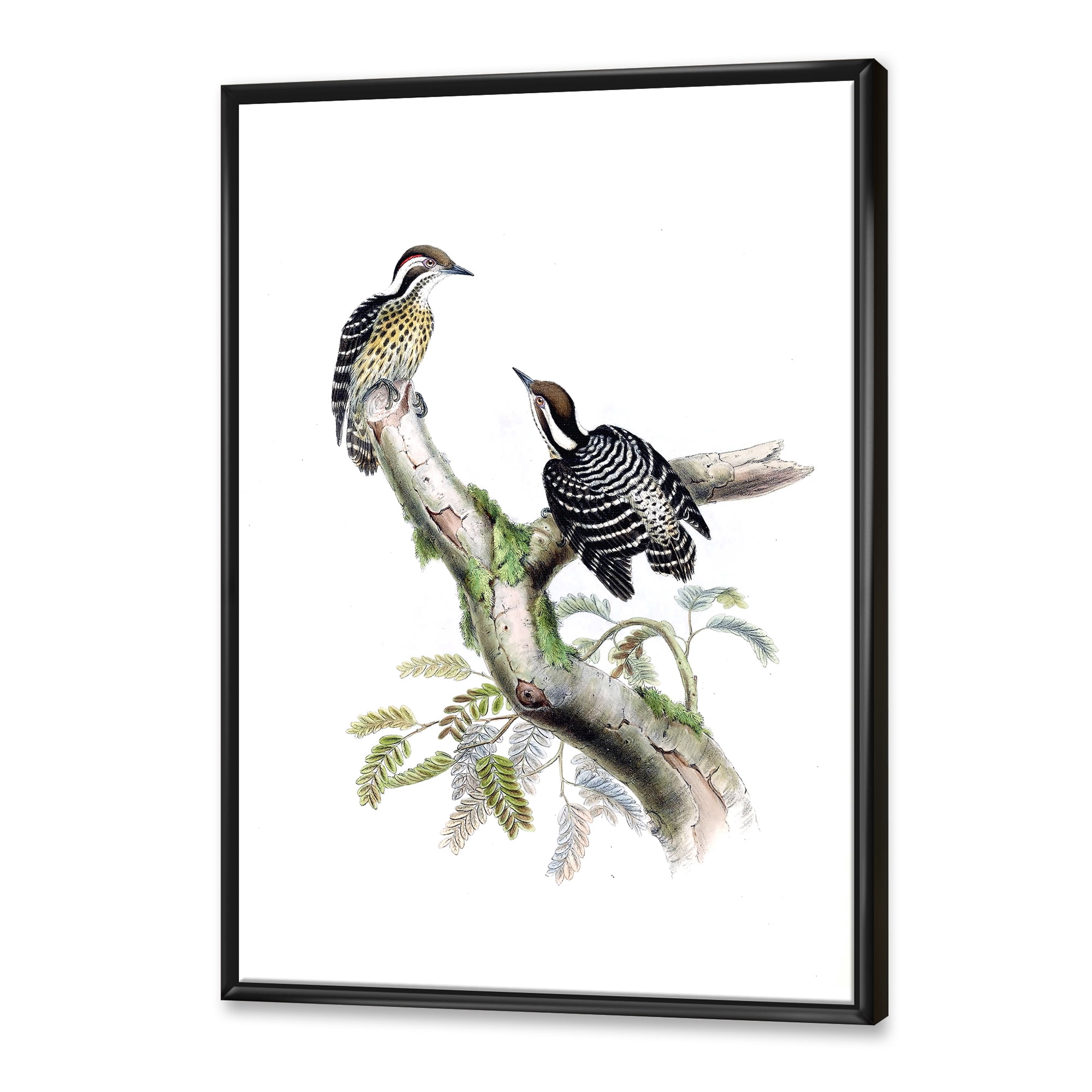 Designart 'Ancient Birds In The Wild VIII' Traditional Framed Canvas Wall Art Print