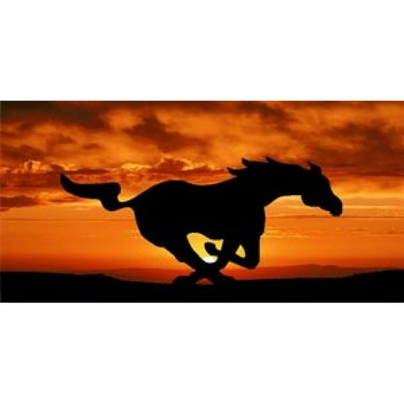 Mustang On Orange Sunset Photo License Plate