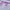 Purple, variant on Babysbule Scarf for Women Fashion Women Long Soft Wrap scarf Ladies Shawl Chiffon Scarf Scarves