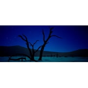 Samsara (Blu-ray), Mpi Home Video, Documentary