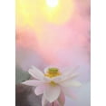 thumbnail image 2 of Farzad, Bahman 11x14 Gold Ornate Wood Framed with Double Matting Museum Art Print Titled - Beauty at Dawn, 2 of 4