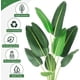 thumbnail image 3 of 5 ft artificial bird of paradise plant con trunks - ideal para para indoor/outdoor, home/oficina decor, perfect housewarming gift, 3 of 6