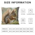 thumbnail image 5 of BCIIG Squirrel Animal Pillow Cases Lightweight Super Soft Easy Care Plush Pillow Cover with Invisible Zipper Soft Breathable Body Pillowcases for Hair and Skin Home Decor 22x22in, 5 of 5