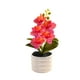 thumbnail image 2 of Orquídea Phalaenopsis Artificial, Decoración de escritorio de oficina boda, rosa amarillo con rayas, 2 of 6