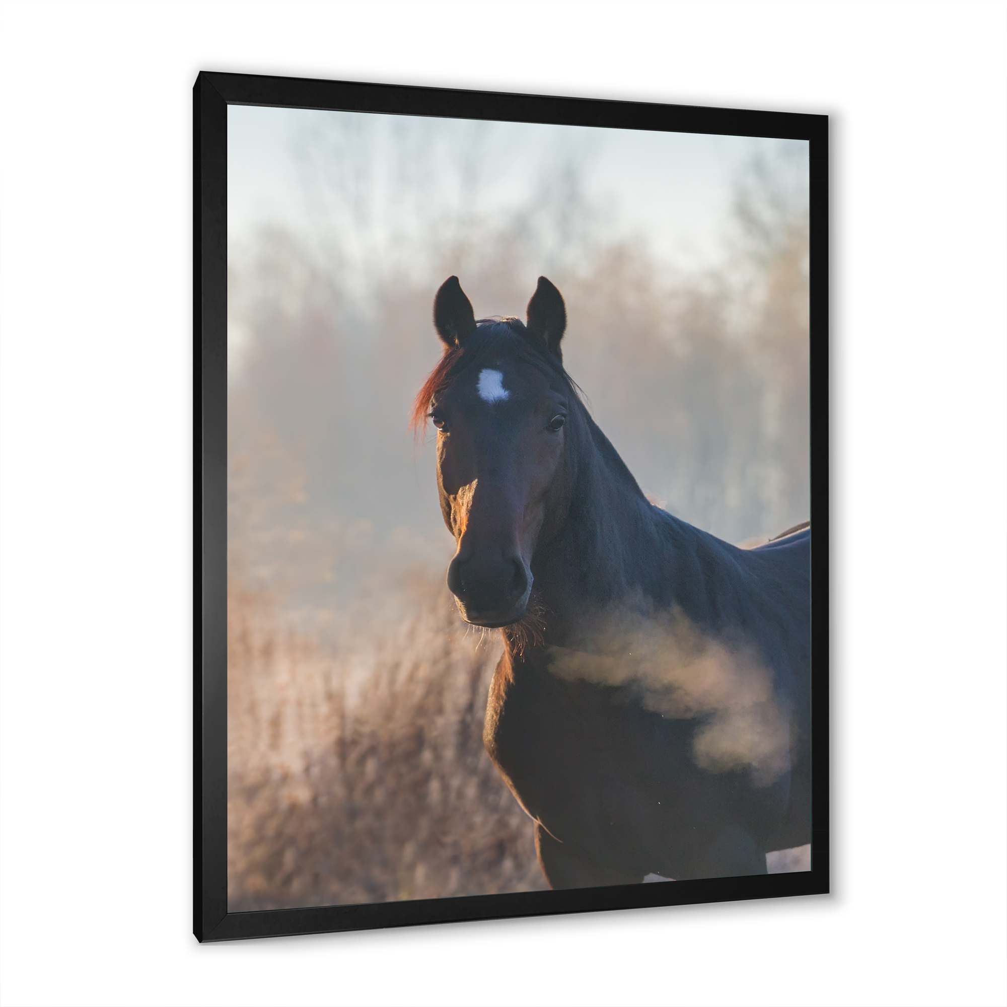 Designart 'Close Up Portrait Of A Horse On An Autumn Morning' Farmhouse Framed Art Print