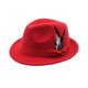 thumbnail image 1 of Guardurnaity Sombrero de fieltro hecho a mano con plumas e insignias para hombres y mujeres, sombrero de lana suave, sombrero de fieltro con penacho Sombreros Rojo, 1 of 6