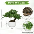thumbnail image 2 of GnFlus 9.8"Artificial Bonsai Tree White Ceramic Pot Office Desk Table Home Decor, 2 of 6