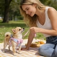 thumbnail image 4 of Bowknot Design Dog Harness with Matching Plaid Leash for Secure and Comfortable Walking Control, 4 of 4