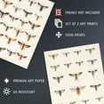 thumbnail image 4 of Vintage Bug Insects Butterflies Moths Set Of 2 Unframed Wall Art Prints Bathroom Bedroom Aesthetic Retro Historical 12X16 Inch, 4 of 5