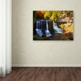 thumbnail image 3 of CATeyes 'Motion' Canvas Art, 3 of 4