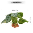 thumbnail image 2 of Plantas de Terrario de Bargains Únicos con Aspecto Natural Escondites Accesorios de Tanque de Dragón Barbudo Mejoran el Hábitat de Reptiles Plantas de Terrario Verdes, 2 of 7