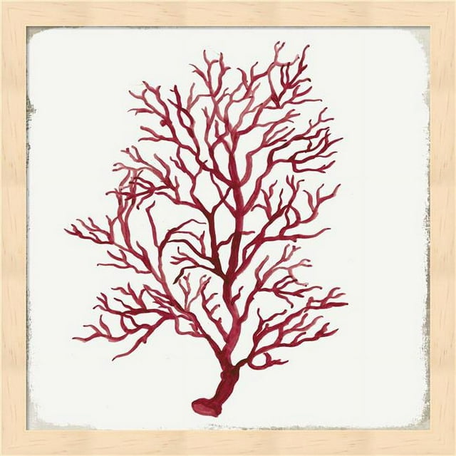 Métaverse R950202-0120000-AEAAAACAN4 13,25 x 13,25 Po Corail Rouge III Art Mural Encadré par Aimee Wilson