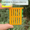 thumbnail image 1 of New Queen Bee Cage Beekeeper Plastic Bee Isolator Clip Beekeeper Breeding Tools for Indoor & Outdoor Use, 1 of 7