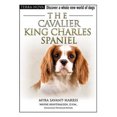 thumbnail image 1 of The Cavalier King Charles Spaniel (Terra-Nova), 1 of 1