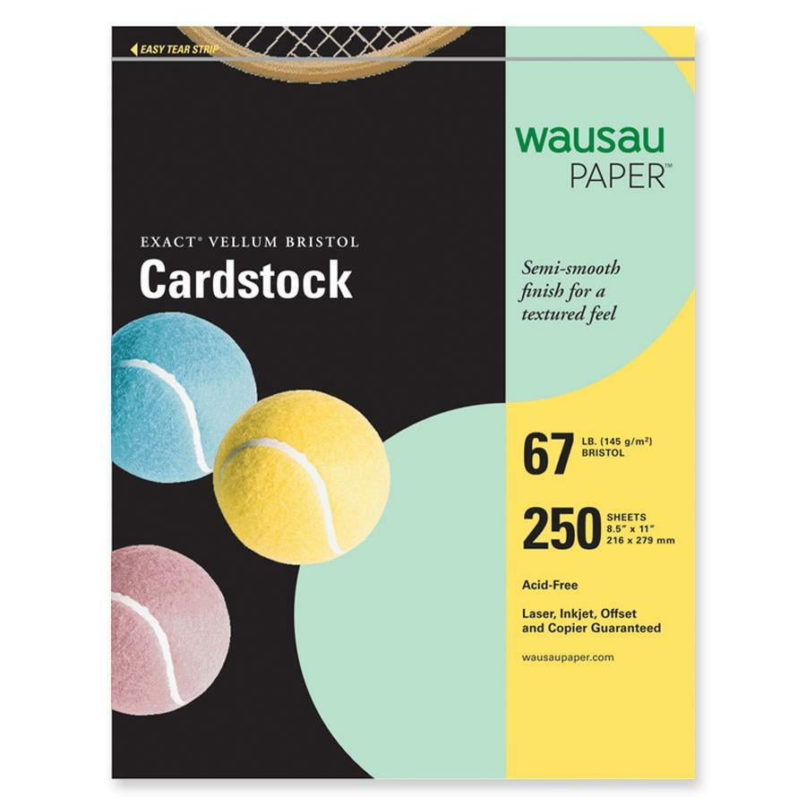 Exact Vellum Bristol Paper
