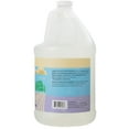 thumbnail image 2 of Jabón líquido para platos Ginger Lily Farms, 1 galón (1280 ml), 2 of 6