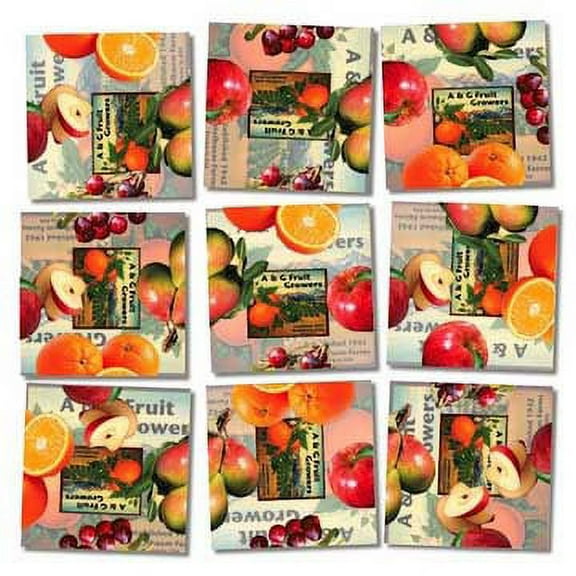 Fruit, a 9-piece Puzzle by Scramble Squares