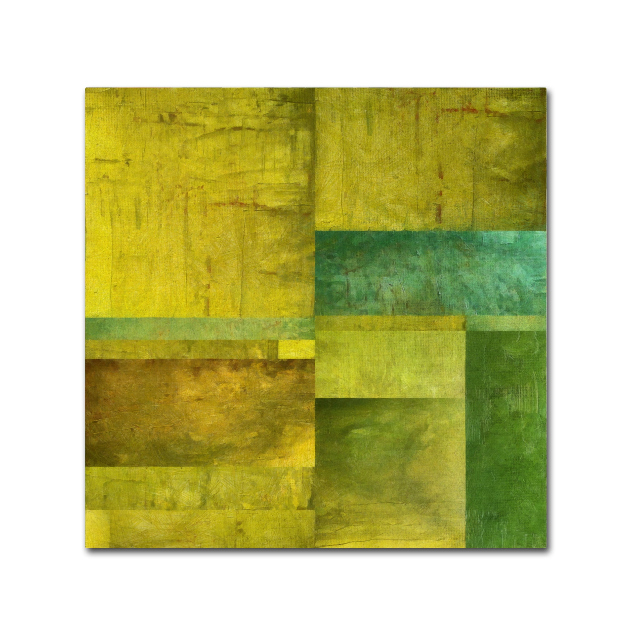 Trademark Fine Art "Essence of Green" Canvas Art by Michelle Calkins