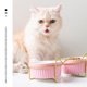 thumbnail image 5 of Lojalitet Cuencos para Gatos, Juego de Cuencos de Agua y Comida de cerámica para Cachorros, Cuencos para Mascotas en Interiores con Soporte, 5 of 5