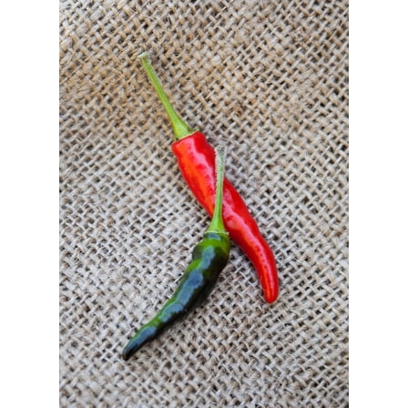 Sherwood's Seeds Black Cobra Pepper Plant Seeds