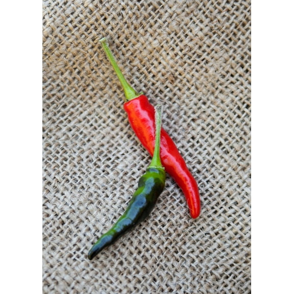 Sherwood's Seeds Black Cobra Pepper Plant Seeds