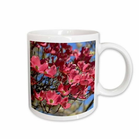 

3dRose Pink Dogwood Flowers Ceramic Mug 11-ounce