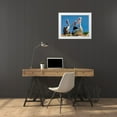 thumbnail image 3 of Fitzharris, Tim 14x12 White Modern Wood Framed Museum Art Print Titled - Australian Pelican Colony-Penguin Island-Australia III, 3 of 4