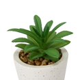 thumbnail image 3 of Anko Artificial Succulent #1 in Pot, 3 of 5