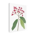 thumbnail image 2 of Melissa Wang 'Begonia Stem I' Canvas Art, 2 of 3