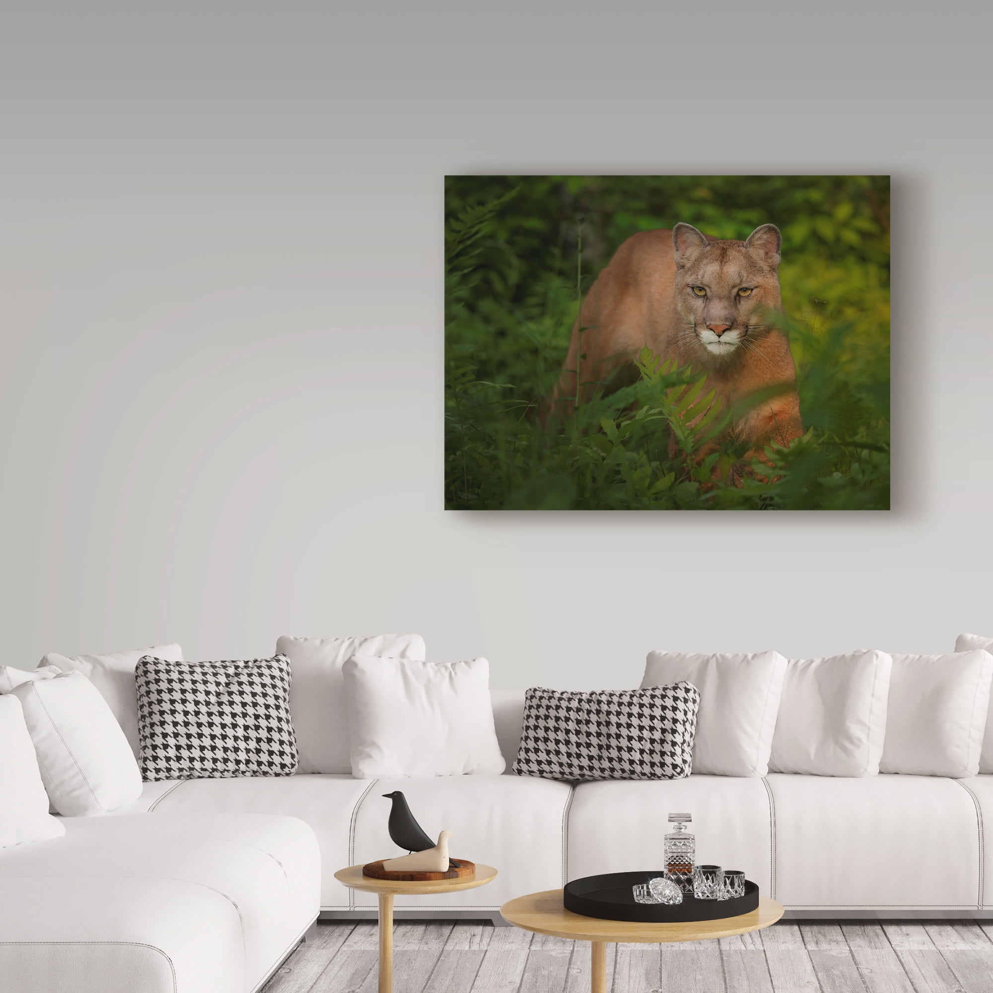 Trademark Fine Art 'Focused' Canvas Art by Galloimages Online
