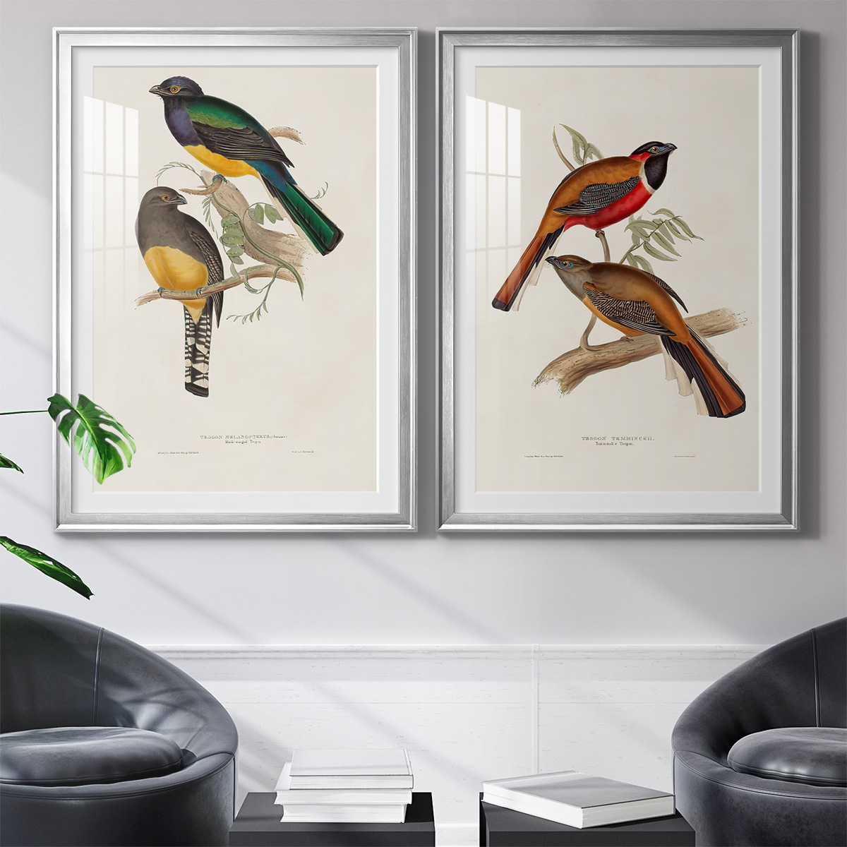 Wexford Home Elegant Trogons III Premium Framed Print, 18.5" x 24.5" - Ready to Hang, Silver (Set of 2)