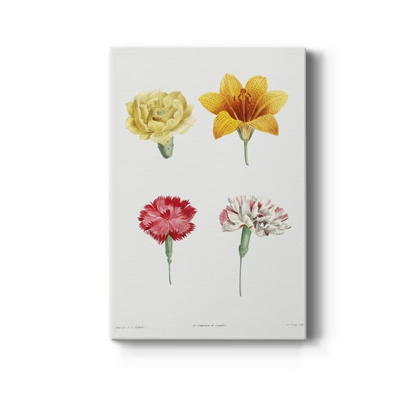 Flower Set Premium Gallery Wrapped Canvas - Ready to Hang - 8 x 12