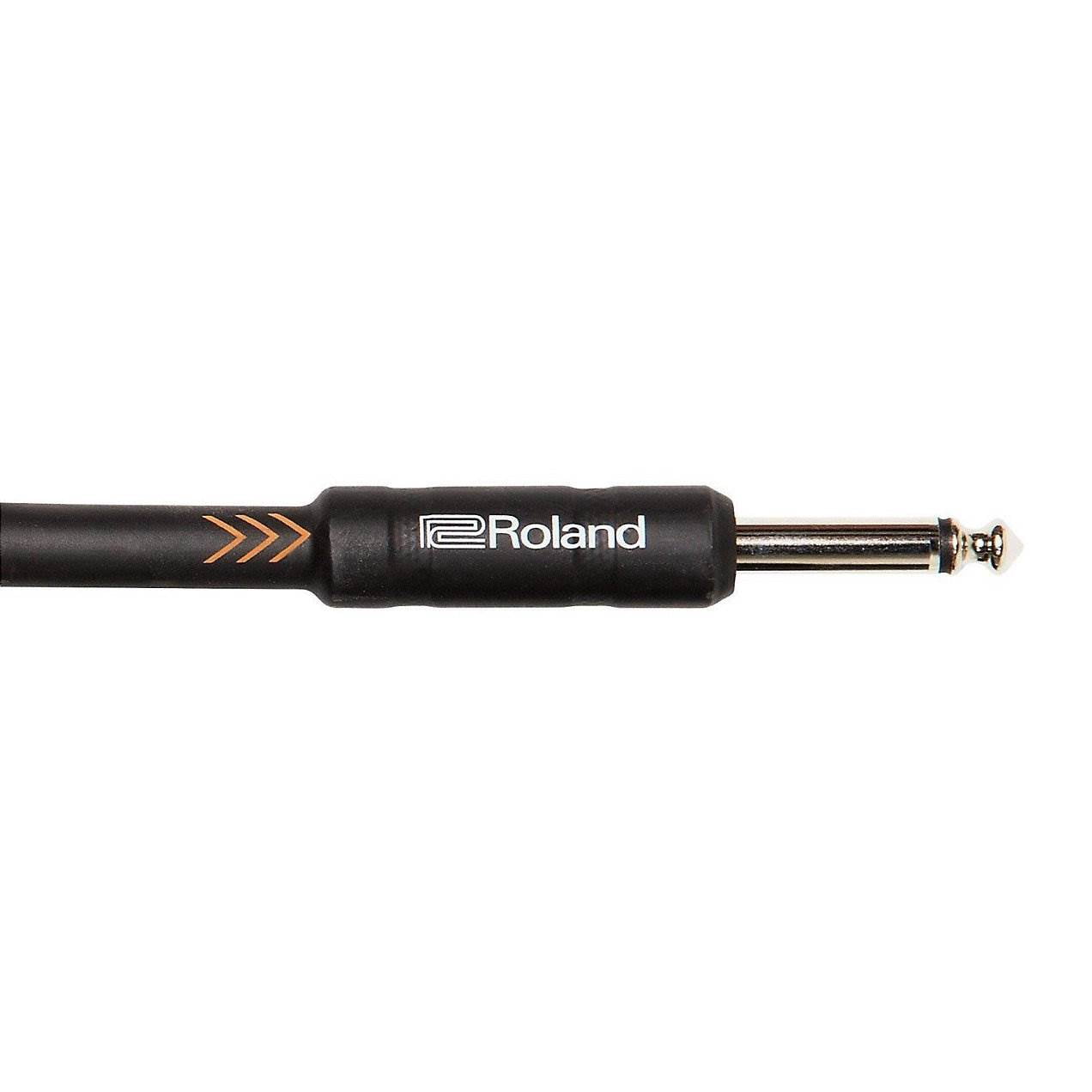 Roland RIC-B10 Black Series Instrument Cable, 10 Ft 3 M Straight/ Straight End