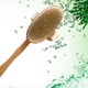 thumbnail image 3 of Bearachild Cepillo de cuerpo de baño con mango de largo, cerdas extraíbles, exfoliante para piel seca, depurador de espalda, masajeador de limpieza Type2 NO2 Bearachild JJ12299-00B, 3 of 6
