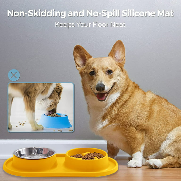 Dog Bowls with Mat,Tilted Cat Bowl Set with Silicone Mat for Food and  Water,Non