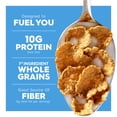 thumbnail image 4 of Special K Protein Cold Breakfast Cereal, 15g Protein, 11 Vitamins and Minerals, Family Size, Original Multi-Grain Touch of Cinnamon, 19oz Box (1 Box), 4 of 5