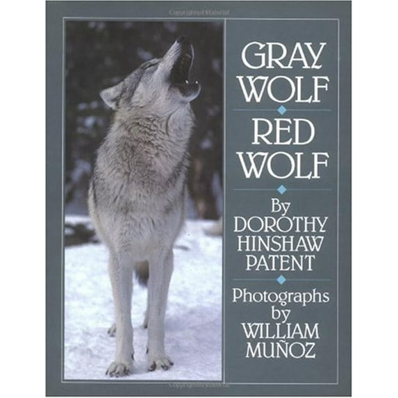 Pre-Owned Gray Wolf, Red Wolf (Hardcover) 0899198635 9780899198637