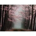 thumbnail image 2 of Van de Goor, Lars 24x19 Black Ornate Wood Framed with Double Matting Museum Art Print Titled - Listen, 2 of 4