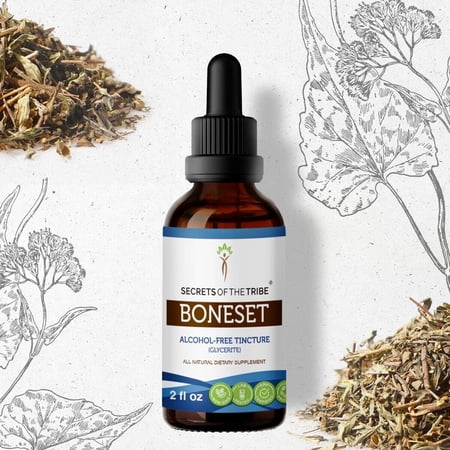 Secrets Of The Tribe Boneset Tincture Dietary Supplement, Natural Herbal Extract for Immune Support, Boneset (Eupatorium perfoliatum) Dried Herb, Alcohol-Free Extract, Drops 2 oz
