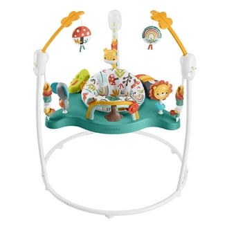 Fisher Price 2 In 1 Sweet Ride Jumperoo Baby Activity Center For Infants And Toddlers