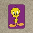 thumbnail image 5 of Looney Tunes Tweety Bird Home Business Office Sign, 5 of 7