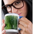 thumbnail image 2 of 3drose, an Amazing Weeping Willow Tree Shot Up Close in Green, 11oz Two-tone Blue Mug, 2 of 6