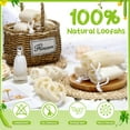thumbnail image 6 of AOWOO 9 Pack Natural Loofah Sponge, Unbleached, 3.9x2.36 in Natural Loofah Exfoliating Bath Scrubber for Adults, Men and Women Shower or Cleaning Kitchenware, 6 of 7